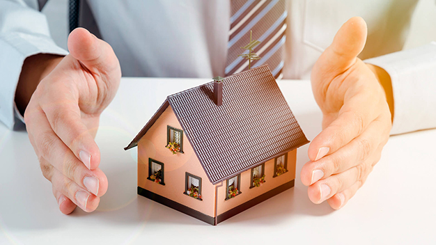 Seguro sob medida para empresa: como funciona?